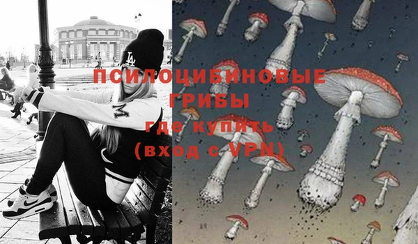 гидропоника Алексин