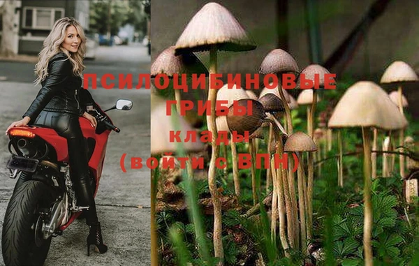 МДМА Протвино